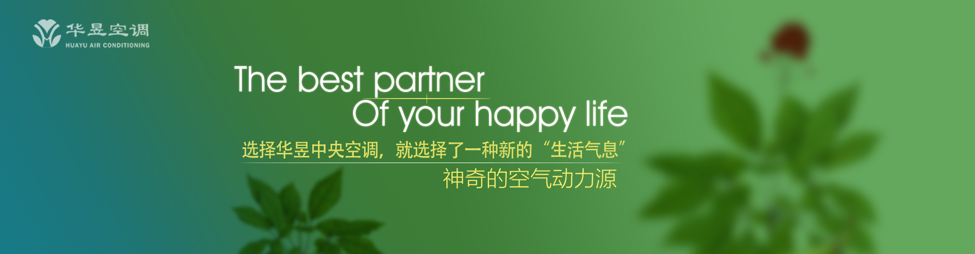 甘心如荠网